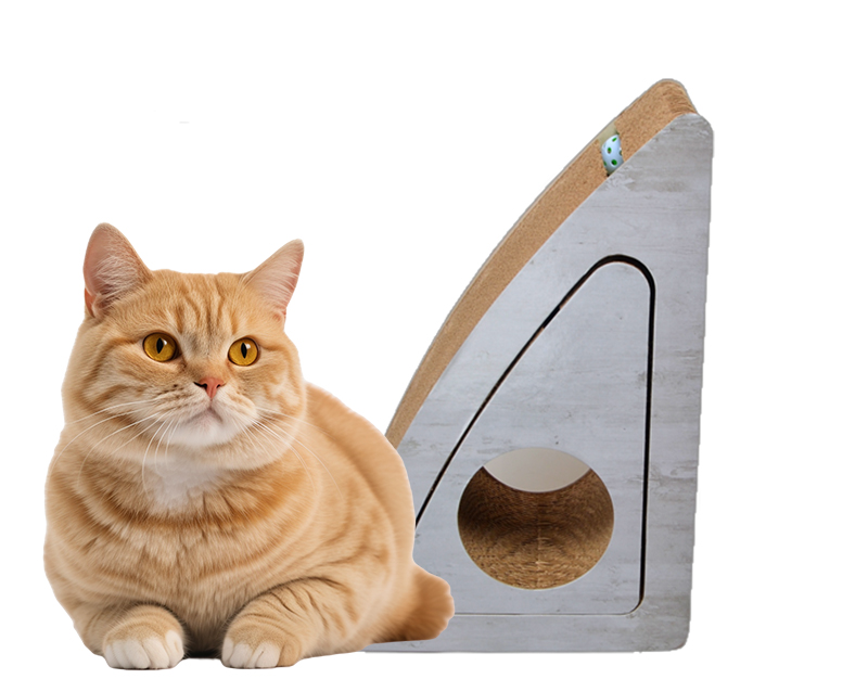 2件套鲨鱼鳍洞洞猫抓板多角度刮板三角形瓦楞纸猫抓板带猫薄荷
