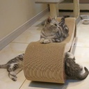 Griffoir pour chat de grande taille en forme spéciale Canapé pour chat Lit de détente pour animaux Jouet pour chat Carton ondulé recyclable Résistant aux rayures et à l'usure