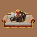 Planche à gratter pour chat imitation canapé pour chat jouet pour animaux grand canapé planche à gratter lit en carton noble lit en carton ondulé mobilier de protection de haute qualité anti-griffures (style vintage)