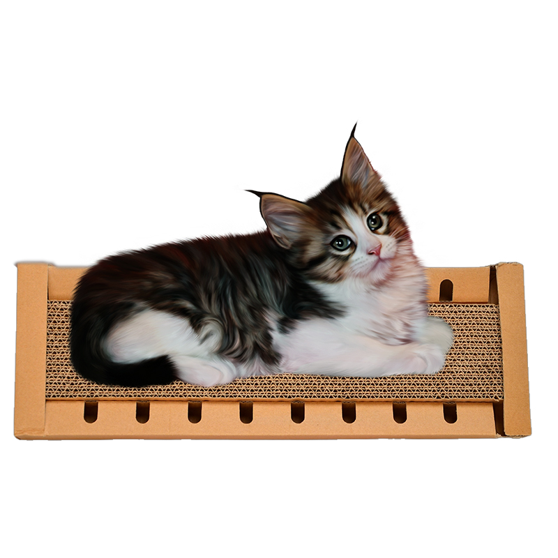 长方体洞洞猫抓板纸板刮板盒瓦楞纸适用于室内猫,防刮板床双面耐用,带猫薄荷